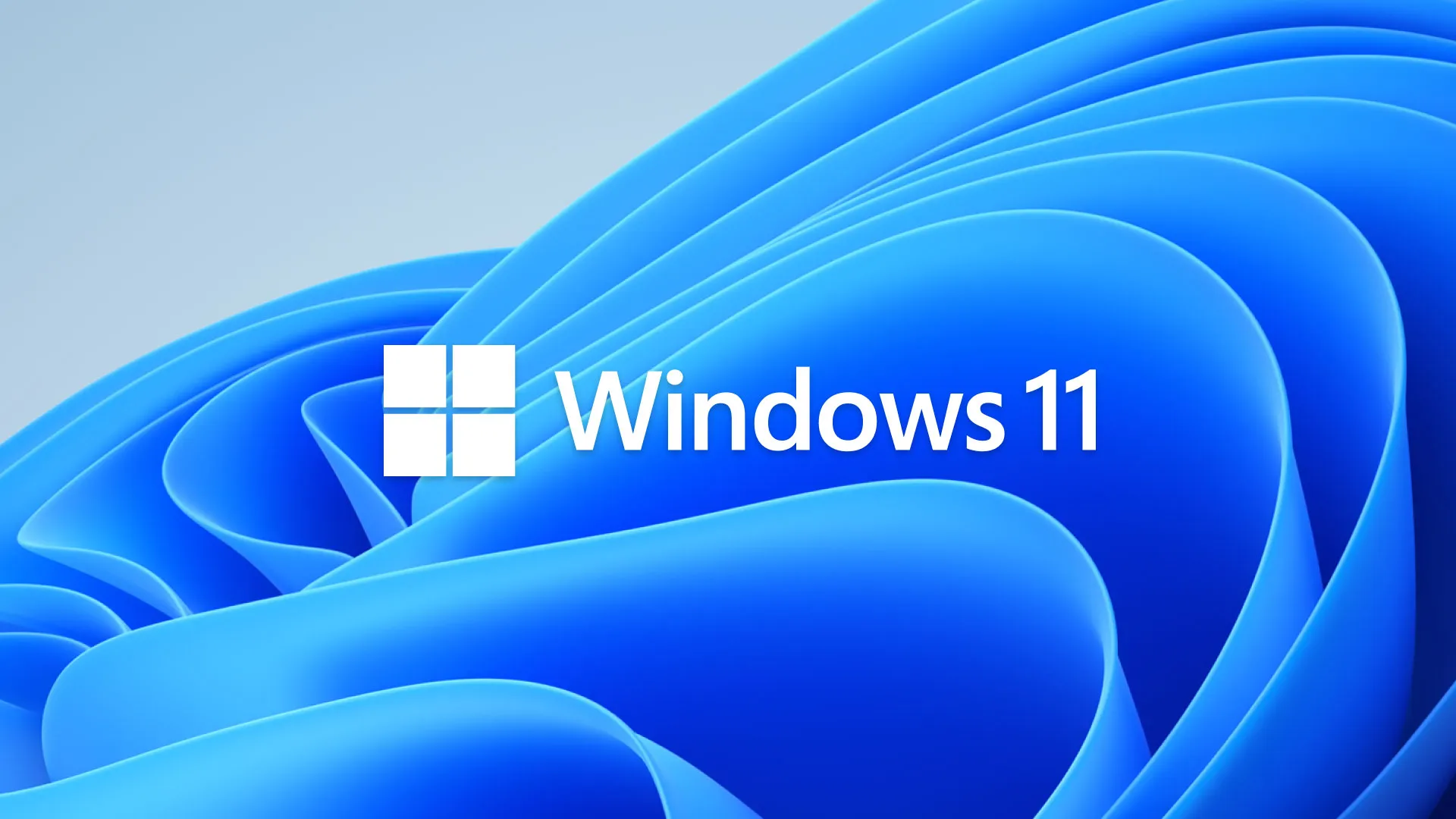 لوگوی ویندوز 11 به همراه بک گراند معروف آن